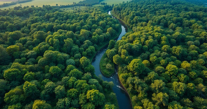 Laudo técnico ambiental é essencial para garantir a conformidade e a sustentabilidade em projetos. Descubra sua importância e como obtê-lo. Laudo técnico ambiental é essencial para garantir a conformidade e a sustentabilidade em projetos. Descubra sua importância e como obtê-lo.