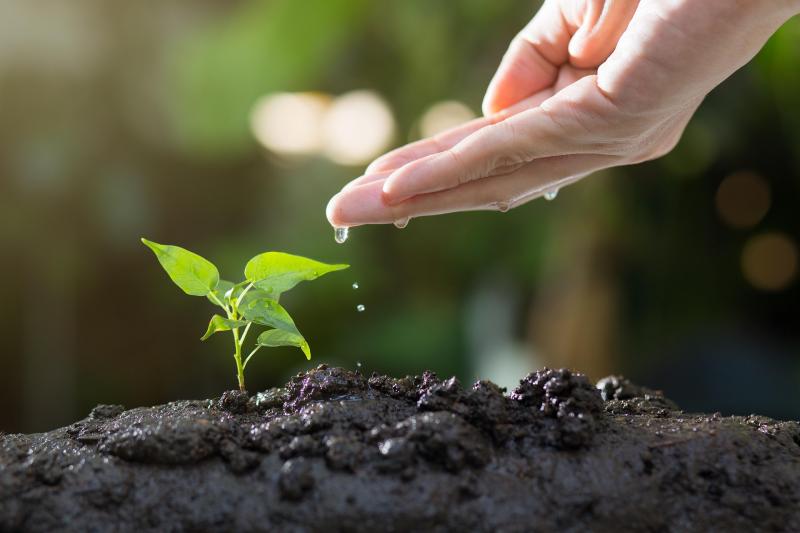 Como Realizar um Estudo de Impacto Ambiental Eficiente