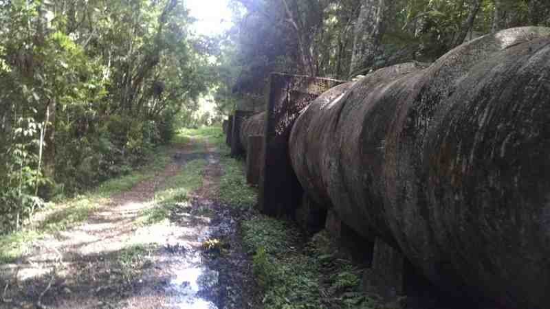 Assessoria ambiental