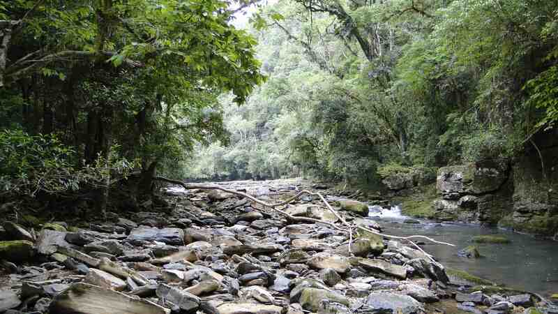 Consultoria de estudo ambiental