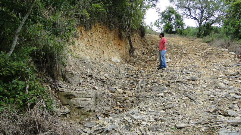 Empresas de consultoria ambiental