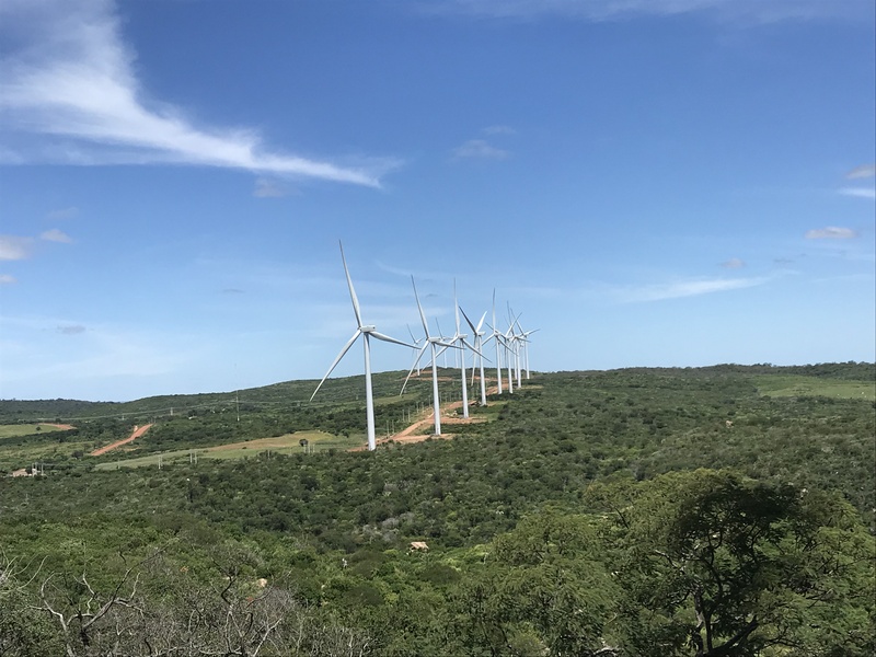 Gestão ambiental para empresas