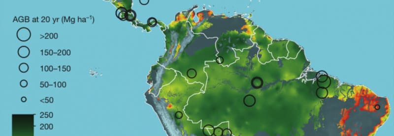 A importância da Floresta que não é mais Aquecimento Global!