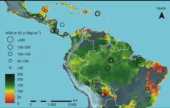 A importância da Floresta que não é mais Aquecimento Global!