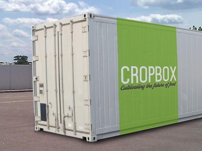 Você já ouviu falar do “Container Fazenda”?